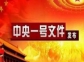 ?中央一號(hào)文件發(fā)布丨推動(dòng)農(nóng)村生活垃圾源頭減量、就地就近處理和資源化利用